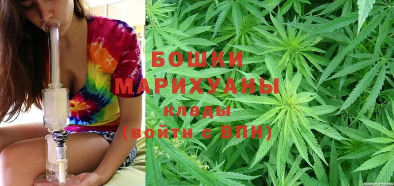 Бошки марихуана OG Kush  Великий Устюг 